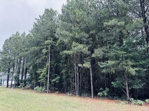 3525 Crockett Point