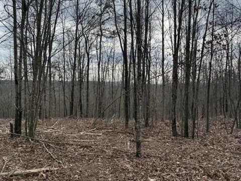 11 South Pittsburg Mountain Road