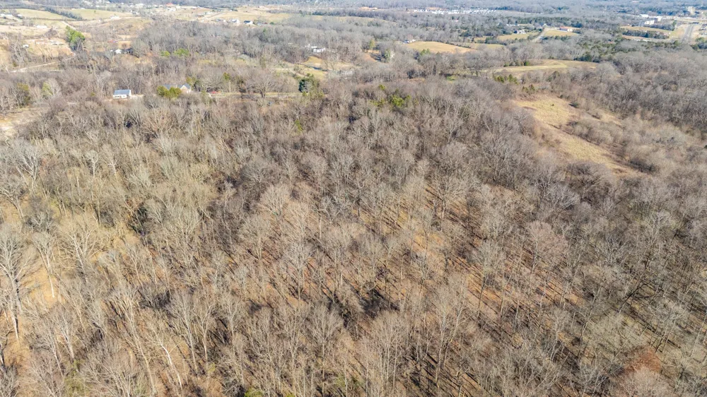 0 Nicholson Schoolhouse Road Columbia, TN 38401