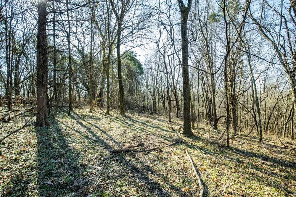 0 Nicholson Schoolhouse Road Columbia, TN 38401