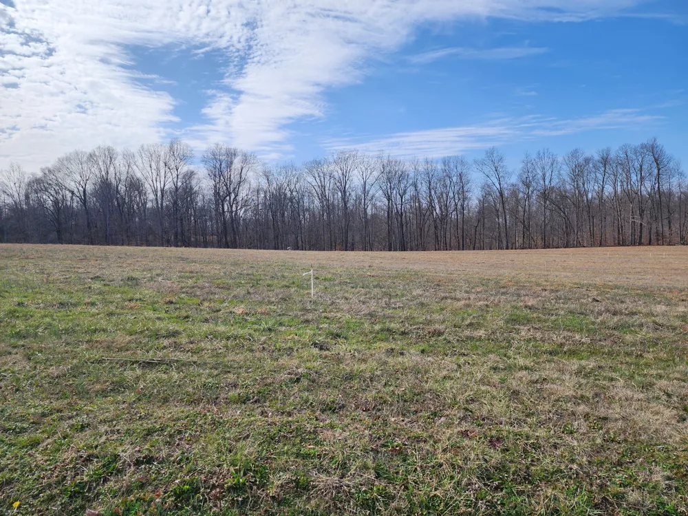 3 Fredonia Rd Manchester, TN 37355