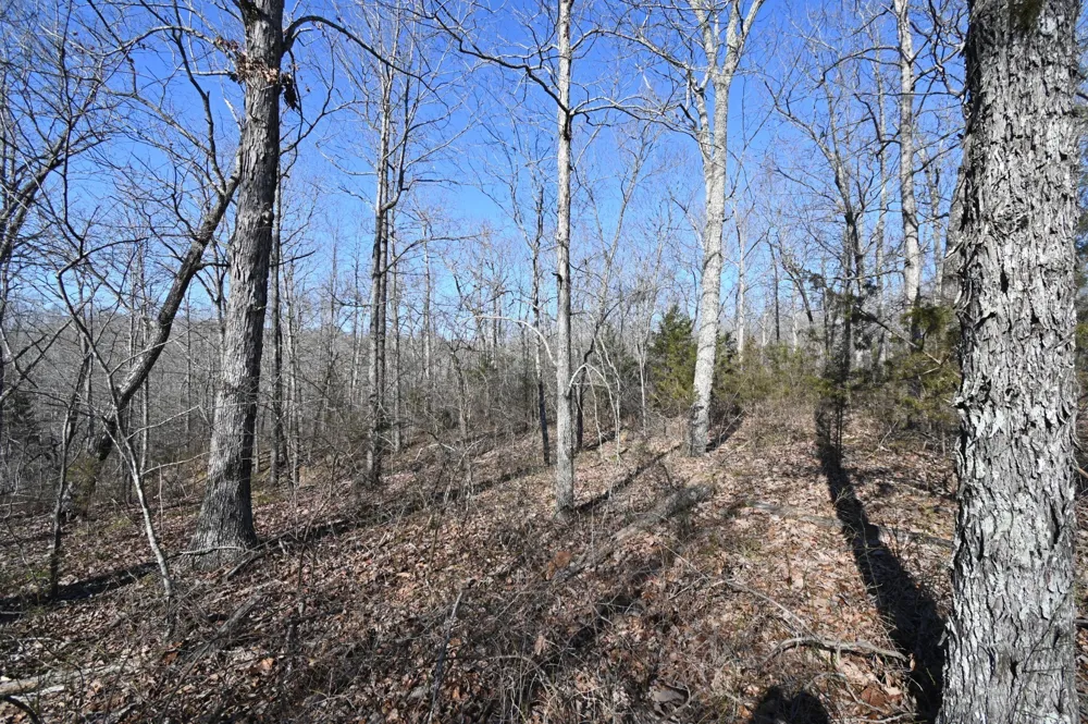 130 Wyatt Lane Linden, TN 37096