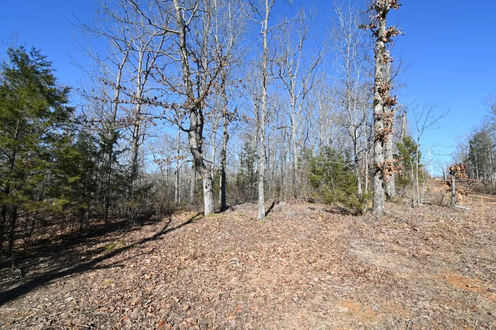 130 Wyatt Lane Linden, TN 37096