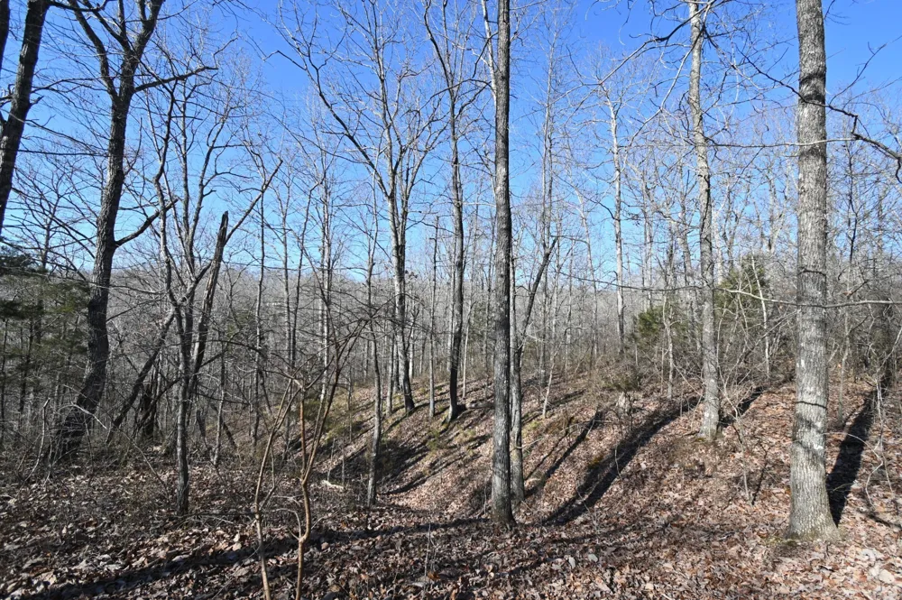 130 Wyatt Lane Linden, TN 37096