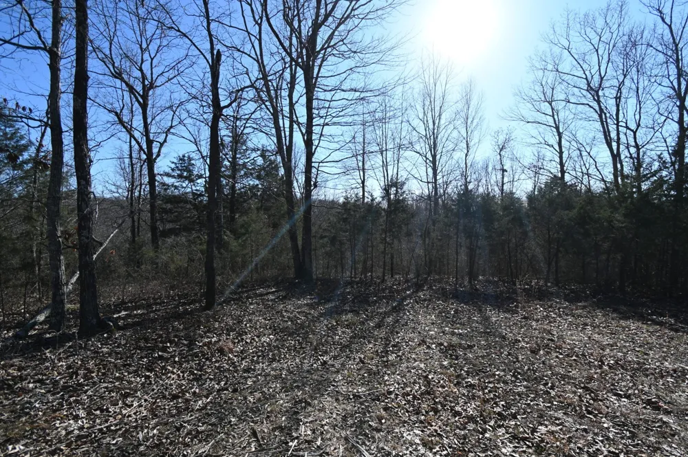 143 Wyatt Ln Linden, TN 37096