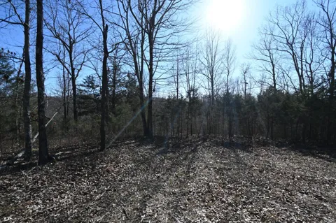 143 Wyatt Ln