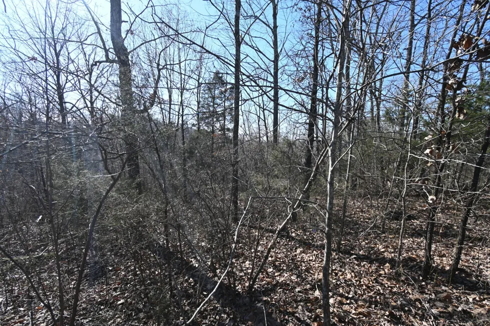 143 Wyatt Ln Linden, TN 37096
