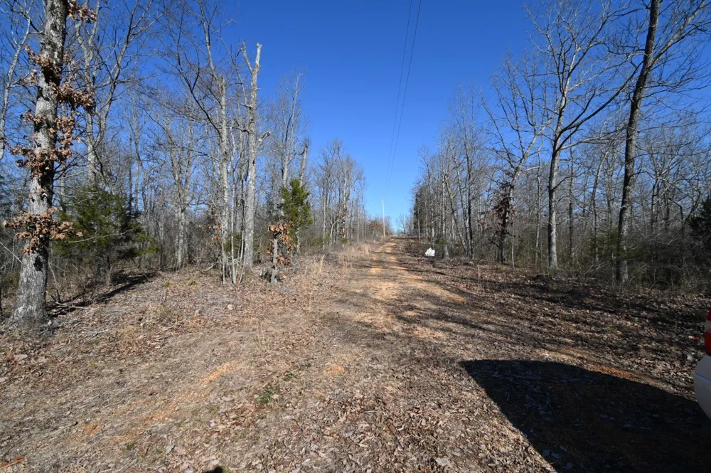 143 Wyatt Ln Linden, TN 37096
