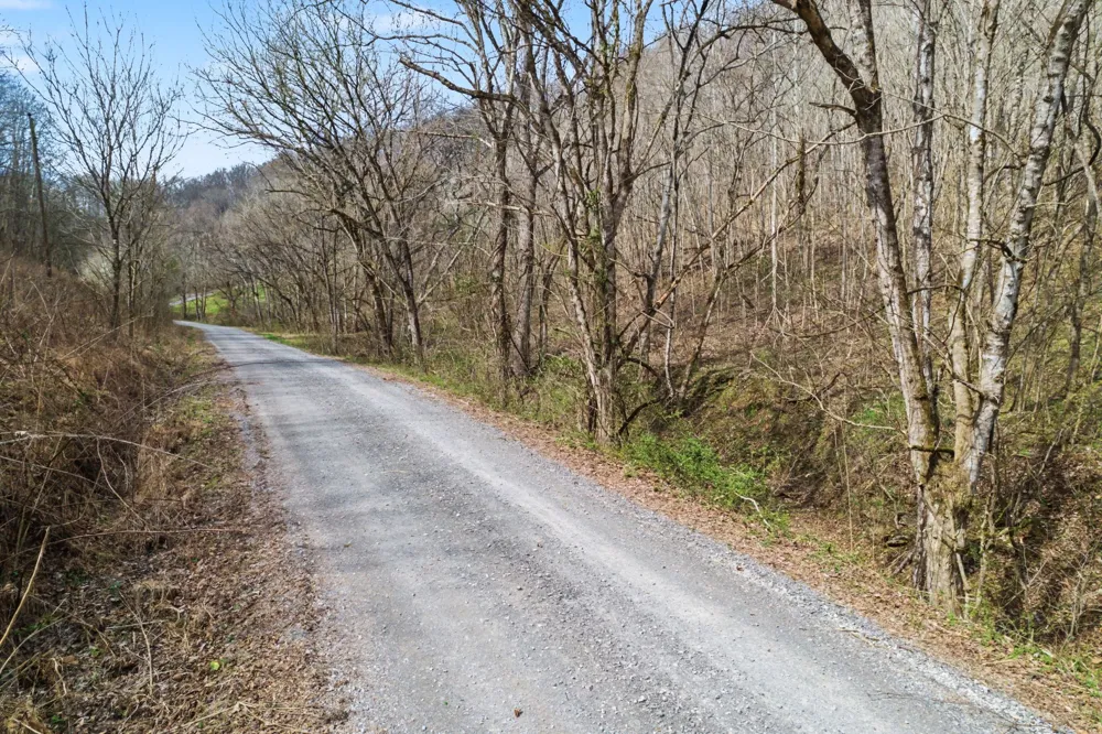 0 Buckeye Hollow Road Smithville, TN 37166