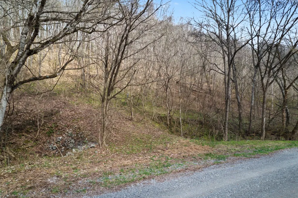 0 Buckeye Hollow Road Smithville, TN 37166
