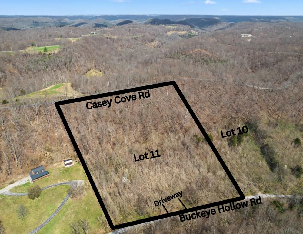0 Buckeye Hollow Road Smithville, TN 37166