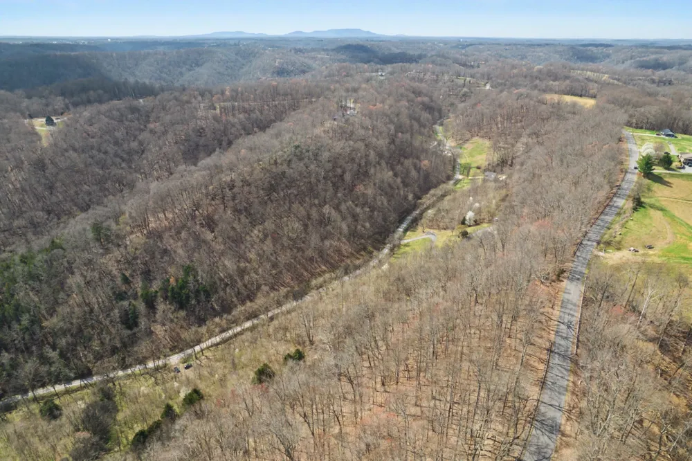 0 Buckeye Hollow Road Smithville, TN 37166