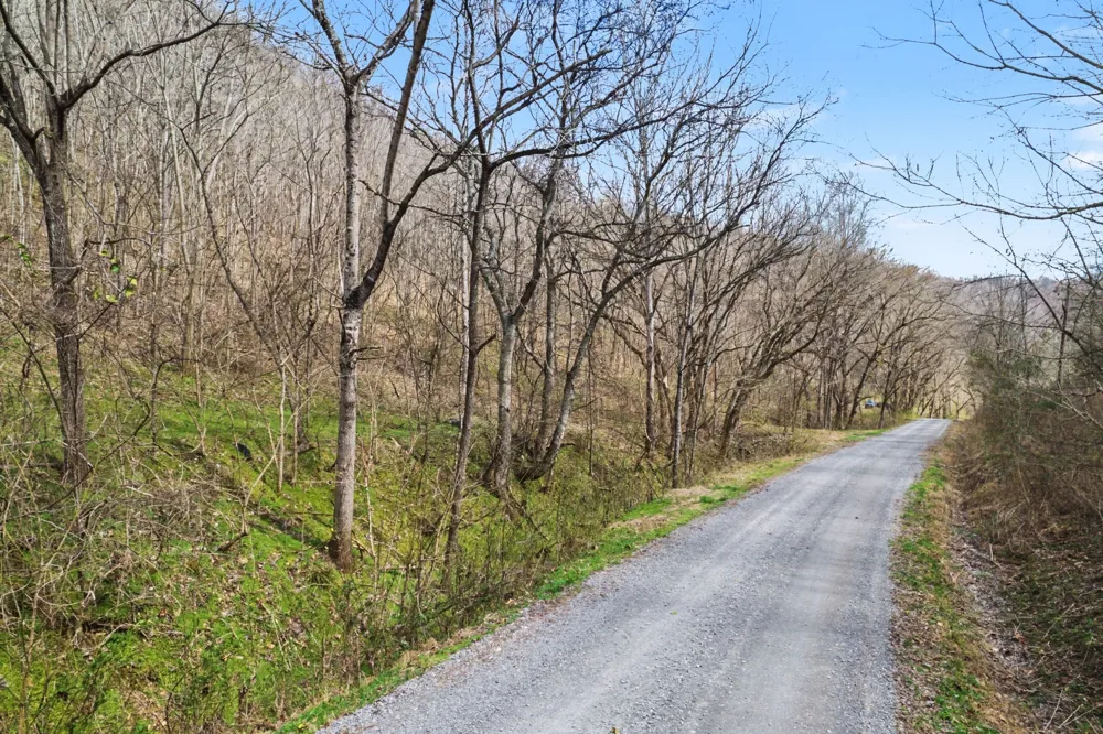 0 Buckeye Hollow Road Smithville, TN 37166