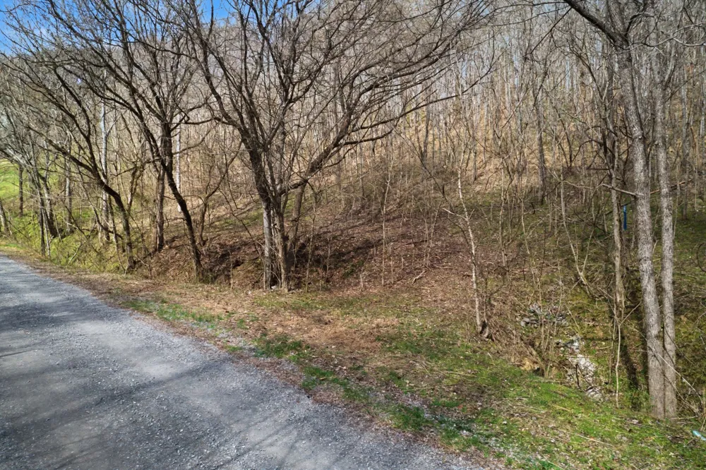 0 Buckeye Hollow Road Smithville, TN 37166