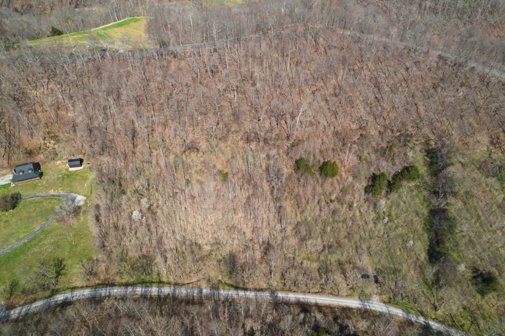0 Buckeye Hollow Road Smithville, TN 37166