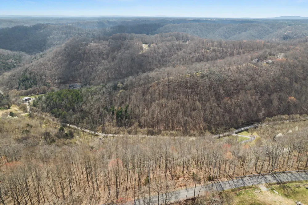 0 Buckeye Hollow Road Smithville, TN 37166