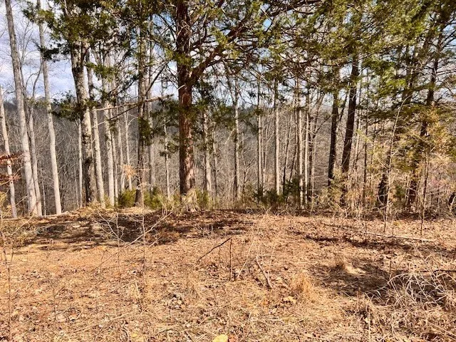 0 Gennies Way Lynchburg, TN 37352