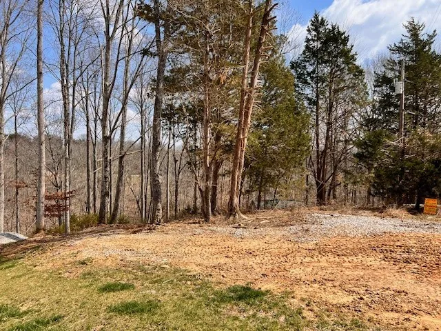 0 Gennies Way Lynchburg, TN 37352