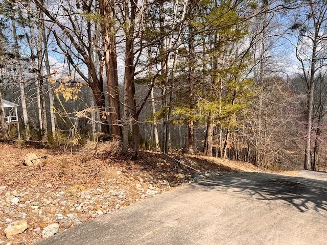 0 Gennies Way Lynchburg, TN 37352