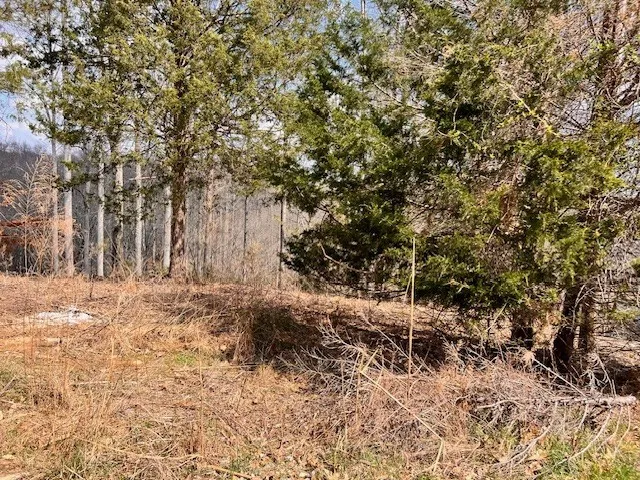 0 Gennies Way Lynchburg, TN 37352