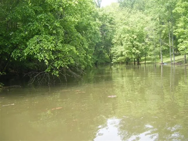 0 Gennies Way Lynchburg, TN 37352