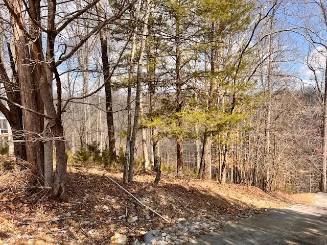 0 Gennies Way Lynchburg, TN 37352