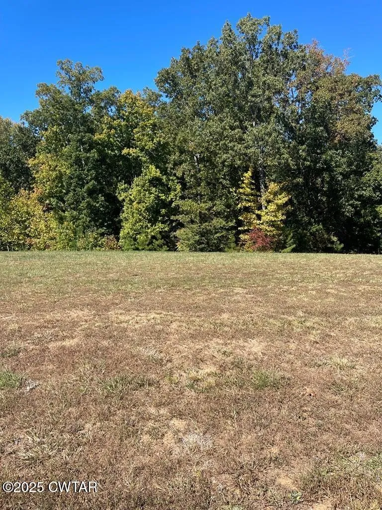 0 Southern Shores Point Huntingdon, TN 38344