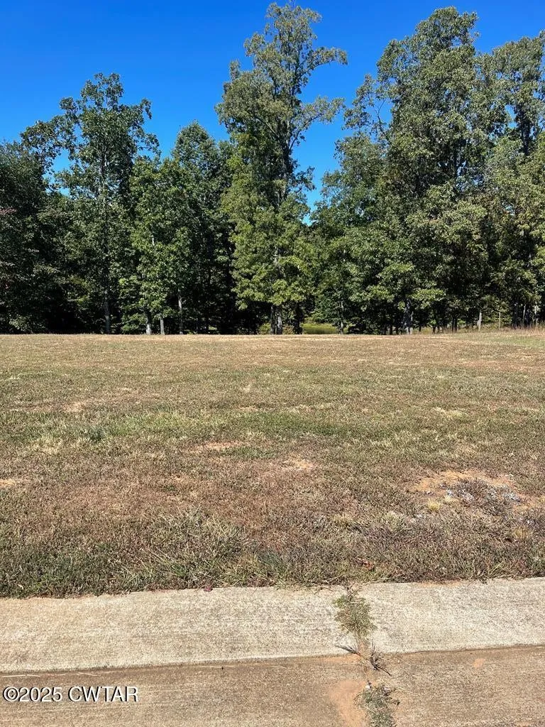 0 Southern Shores Point Huntingdon, TN 38344
