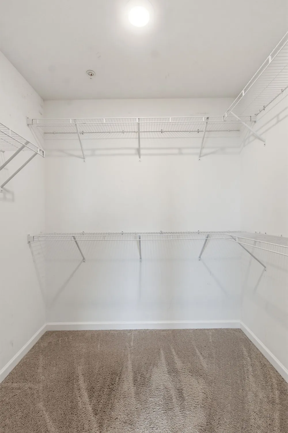 204 Kinsale Dr Spring Hill, TN 37174