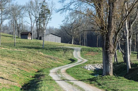 4648 Love Branch Rd