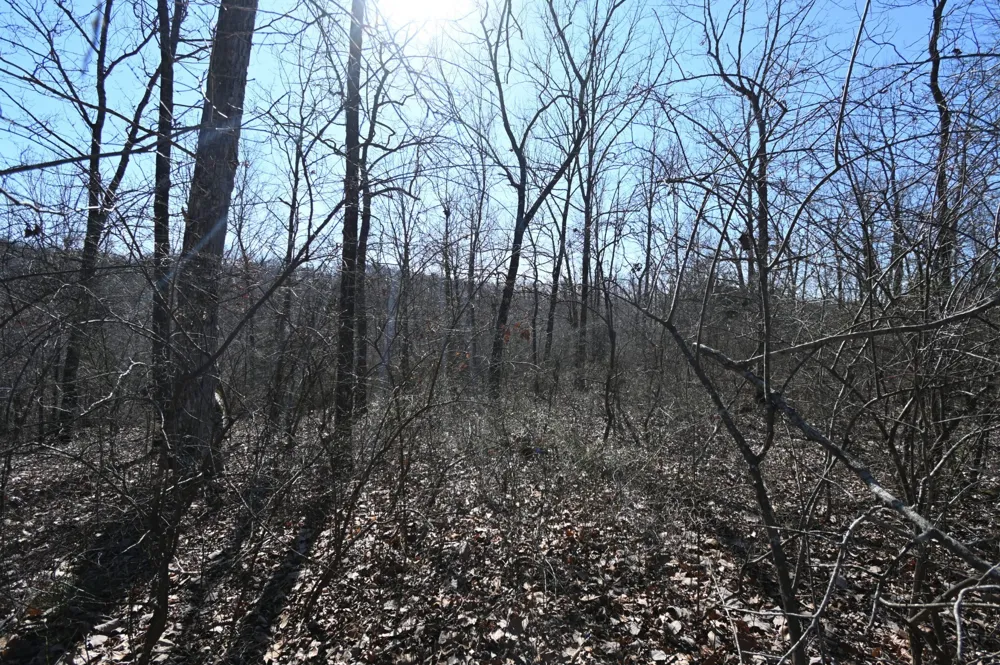 117 Wyatt Ln Linden, TN 37096