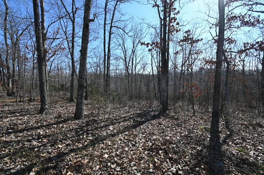 117 Wyatt Ln Linden, TN 37096