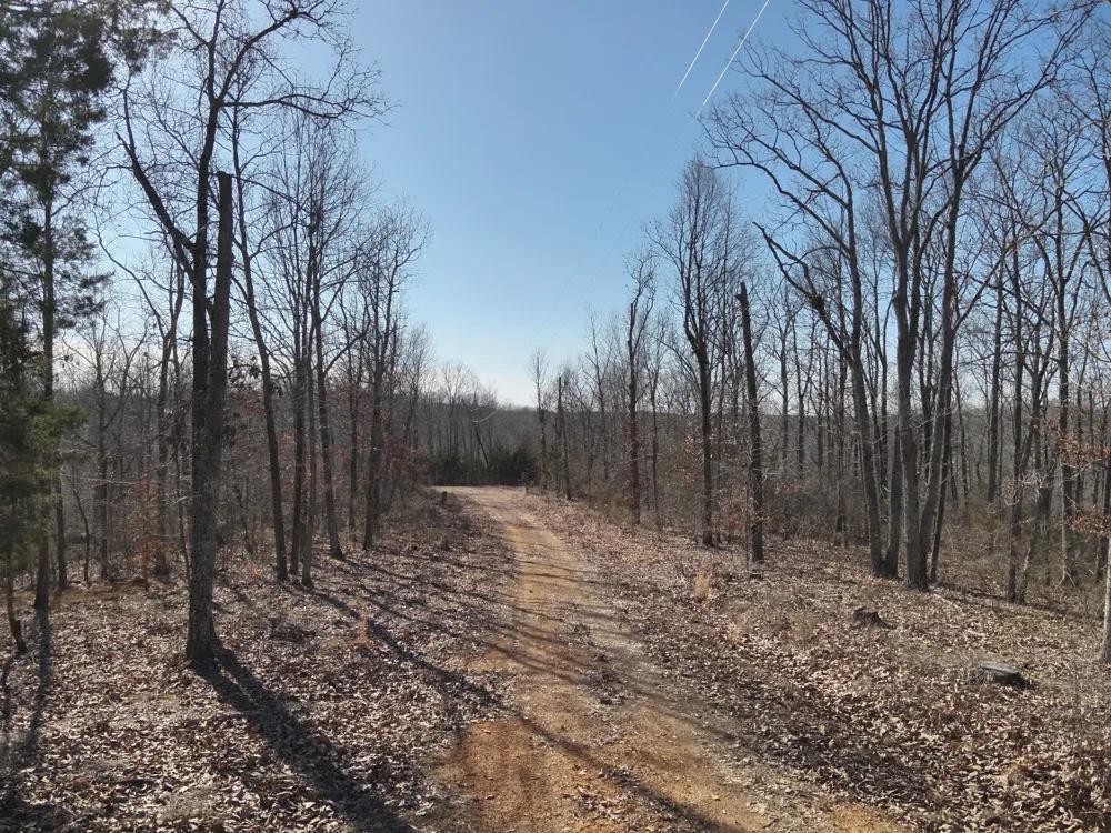 117 Wyatt Ln Linden, TN 37096