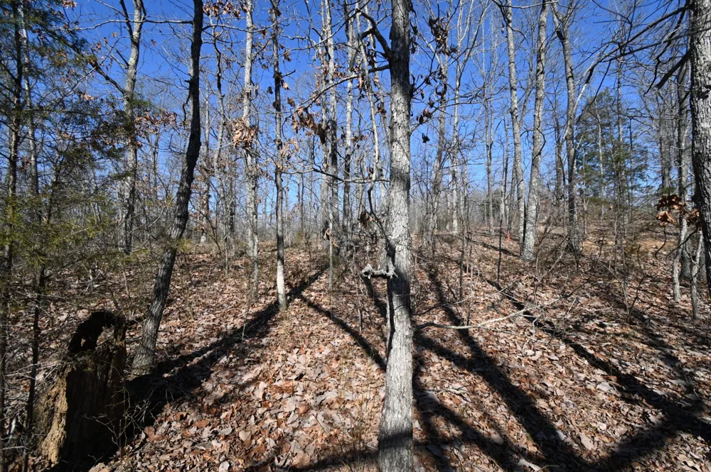 117 Wyatt Ln Linden, TN 37096