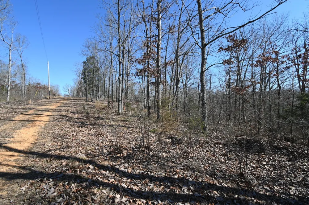 117 Wyatt Ln Linden, TN 37096