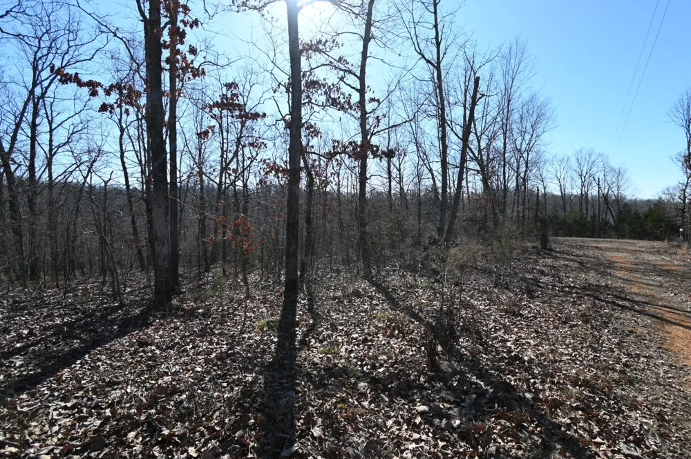 117 Wyatt Ln Linden, TN 37096
