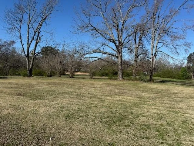 1019 PICKWICK ST Savannah, TN 38372