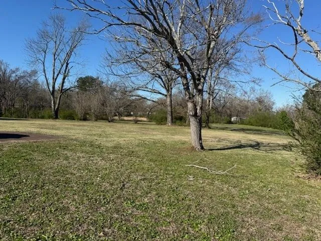 1019 PICKWICK ST Savannah, TN 38372