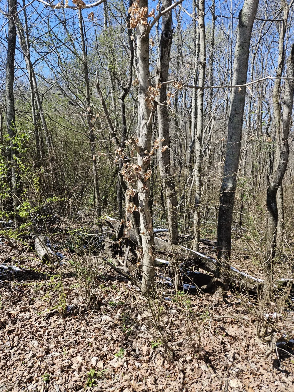 0 Lakeview Dr Smithville, TN 37166