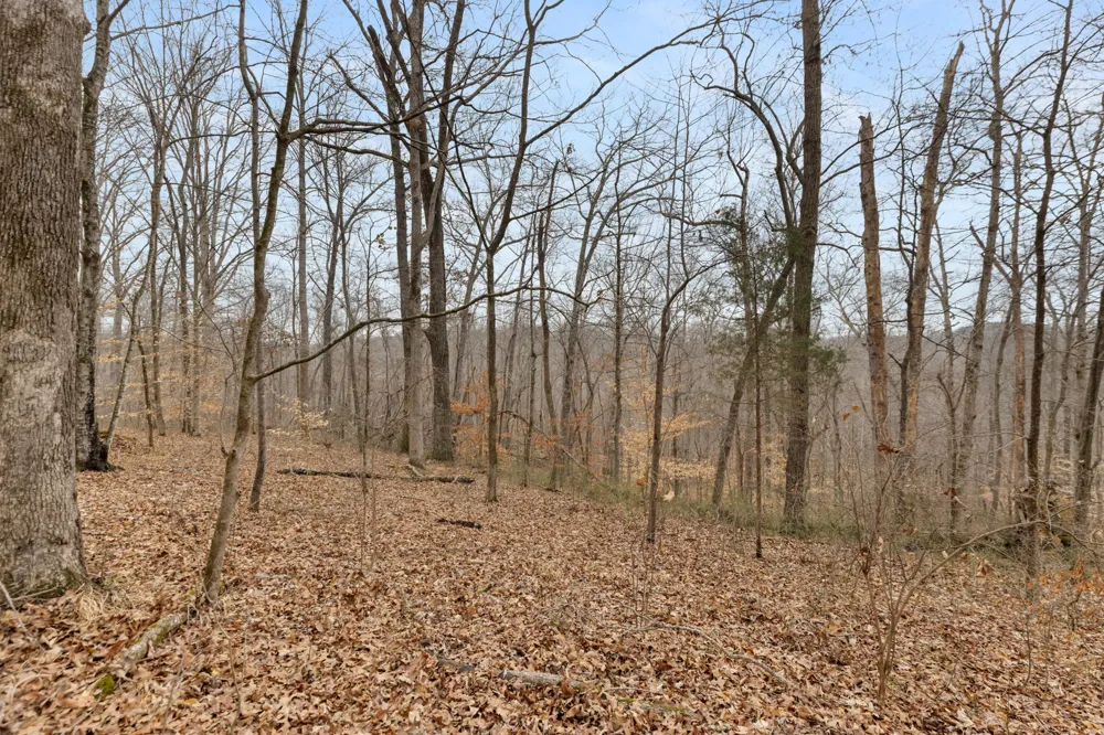 0 Griffintown Road White Bluff, TN 37187