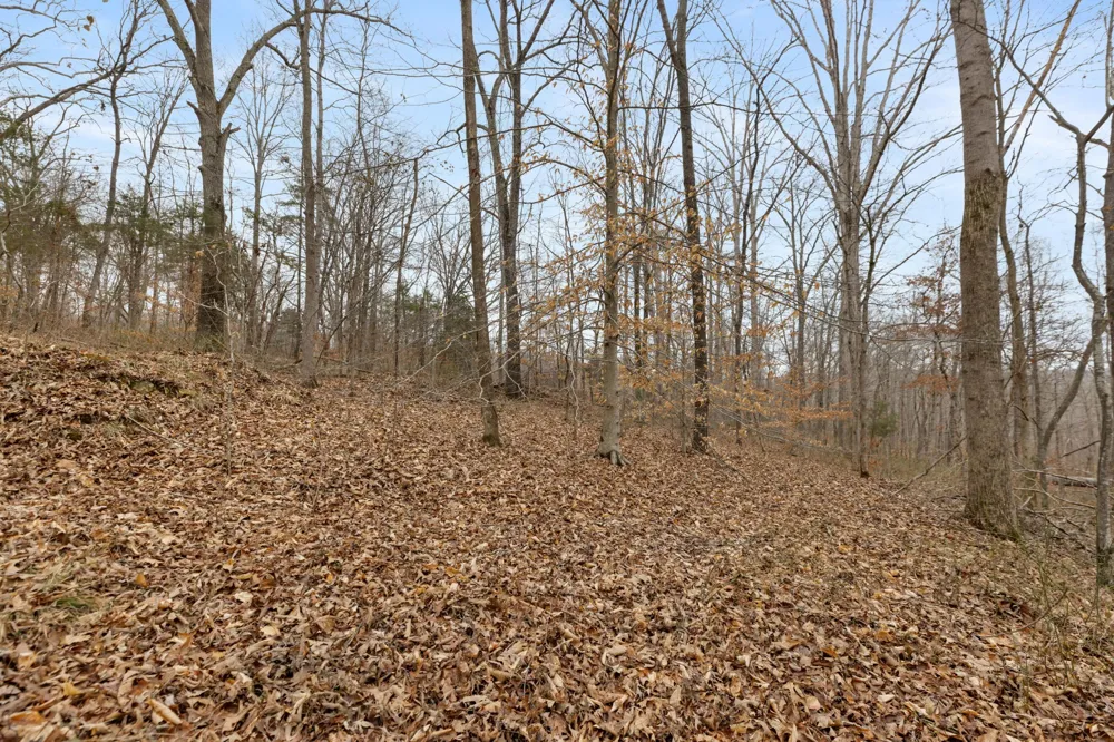 0 Griffintown Road White Bluff, TN 37187