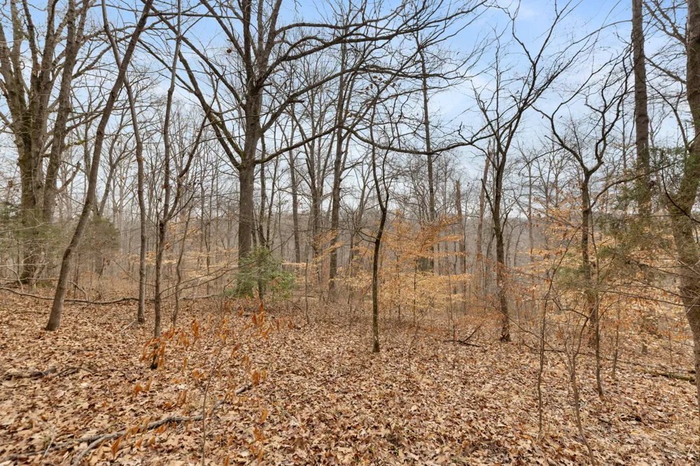 0 Griffintown Road White Bluff, TN 37187