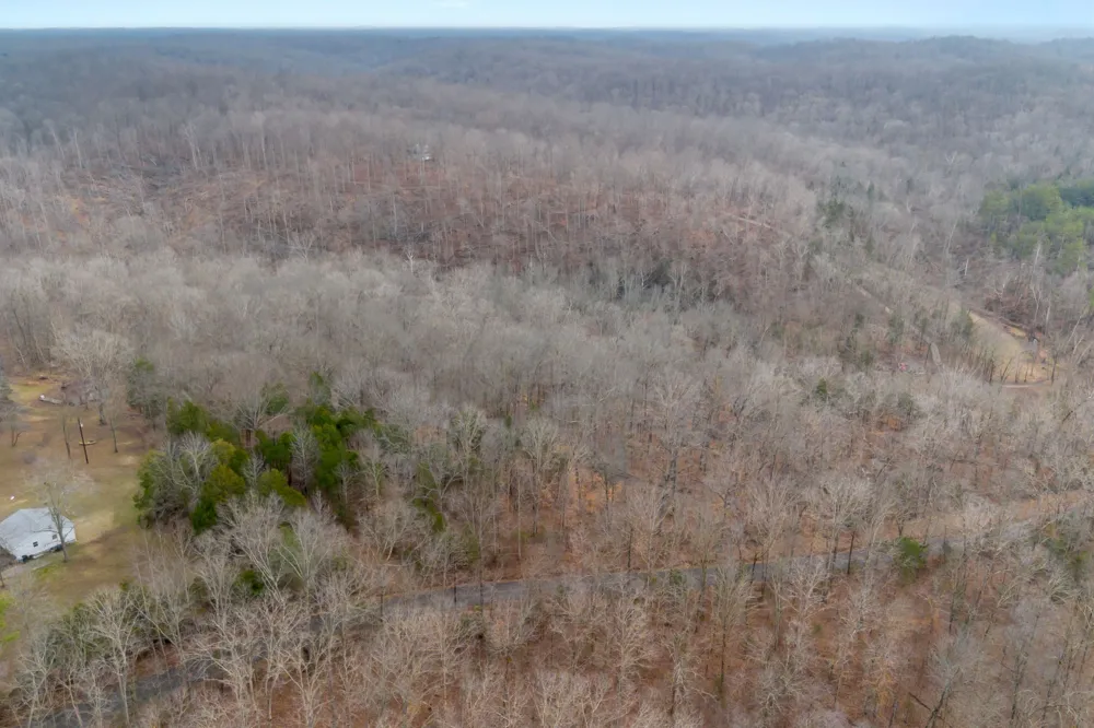 0 Griffintown Road White Bluff, TN 37187