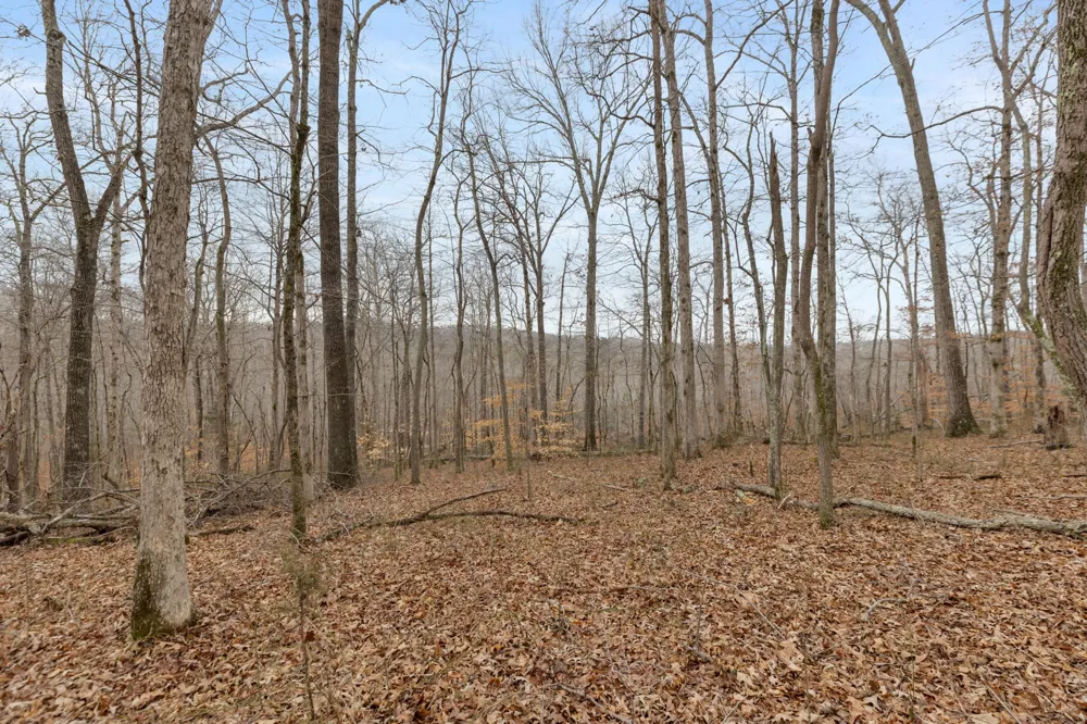 0 Griffintown Road White Bluff, TN 37187