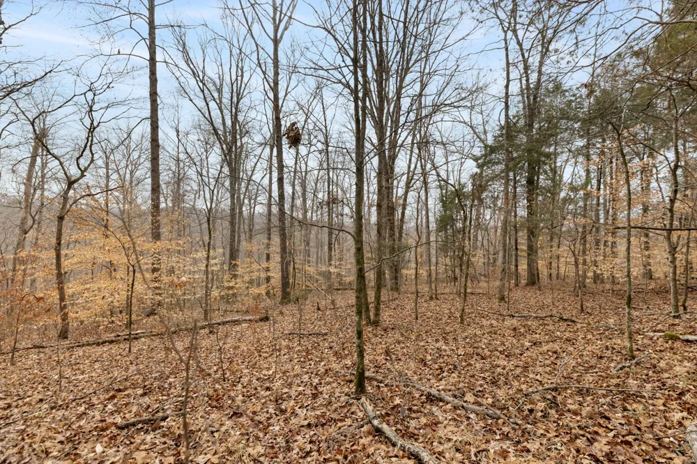 0 Griffintown Road White Bluff, TN 37187