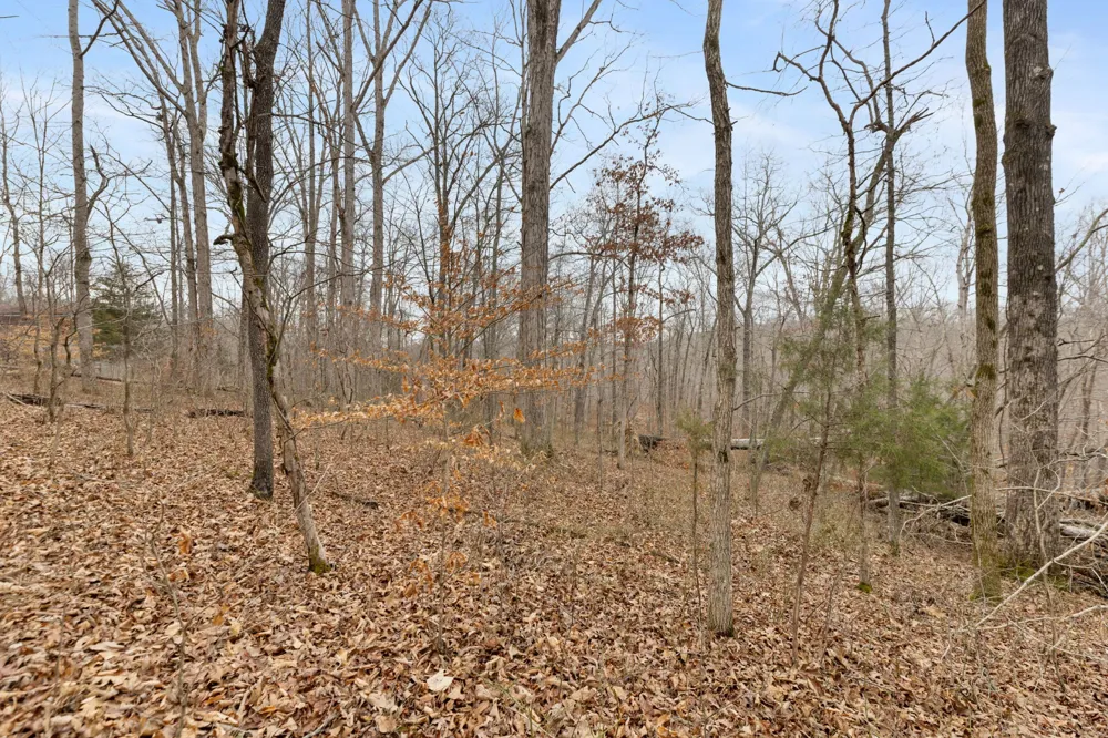 0 Griffintown Road White Bluff, TN 37187