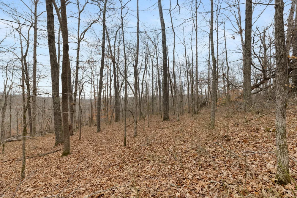 0 Griffintown Road White Bluff, TN 37187