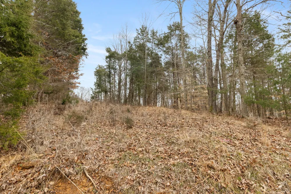 0 Griffintown Road White Bluff, TN 37187