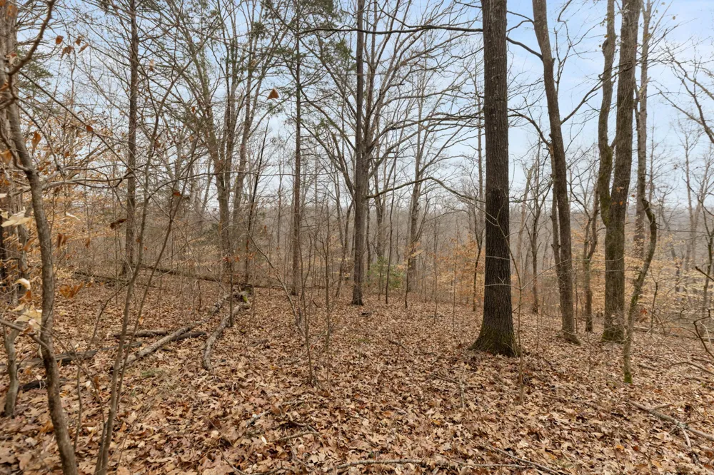 0 Griffintown Road White Bluff, TN 37187