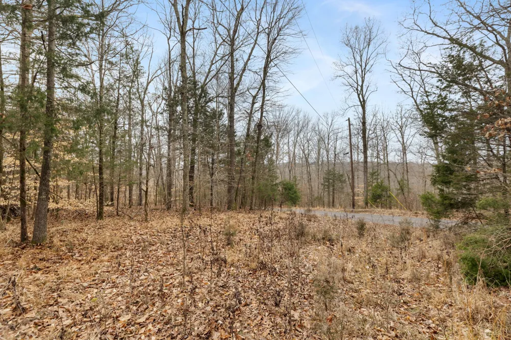 0 Griffintown Road White Bluff, TN 37187